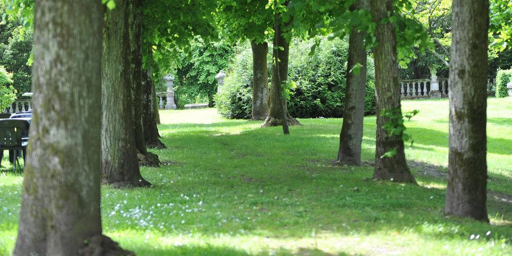 Romantik Hotel Schloss Hohenstein Ahorn  Ngoại thất bức ảnh